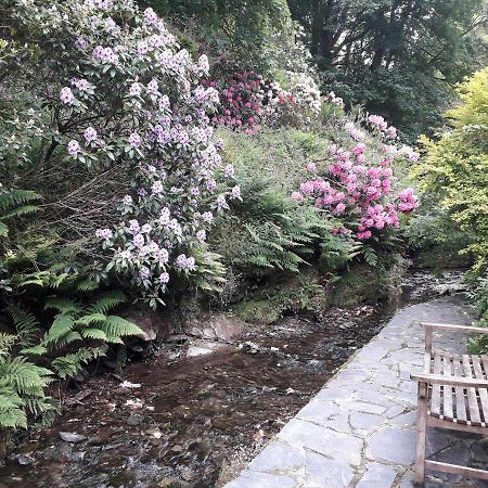 Mill Cottage Tintagel Εξωτερικό φωτογραφία
