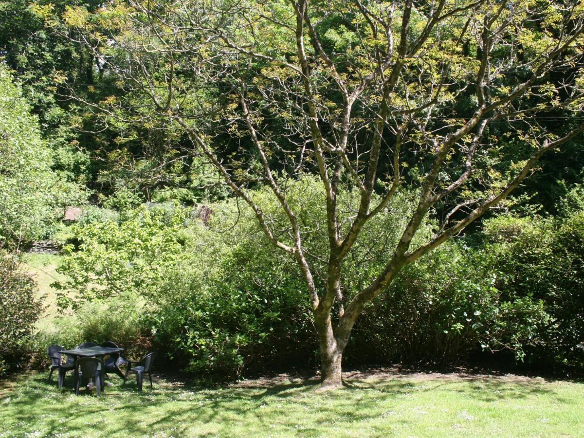 Mill Cottage Tintagel Εξωτερικό φωτογραφία
